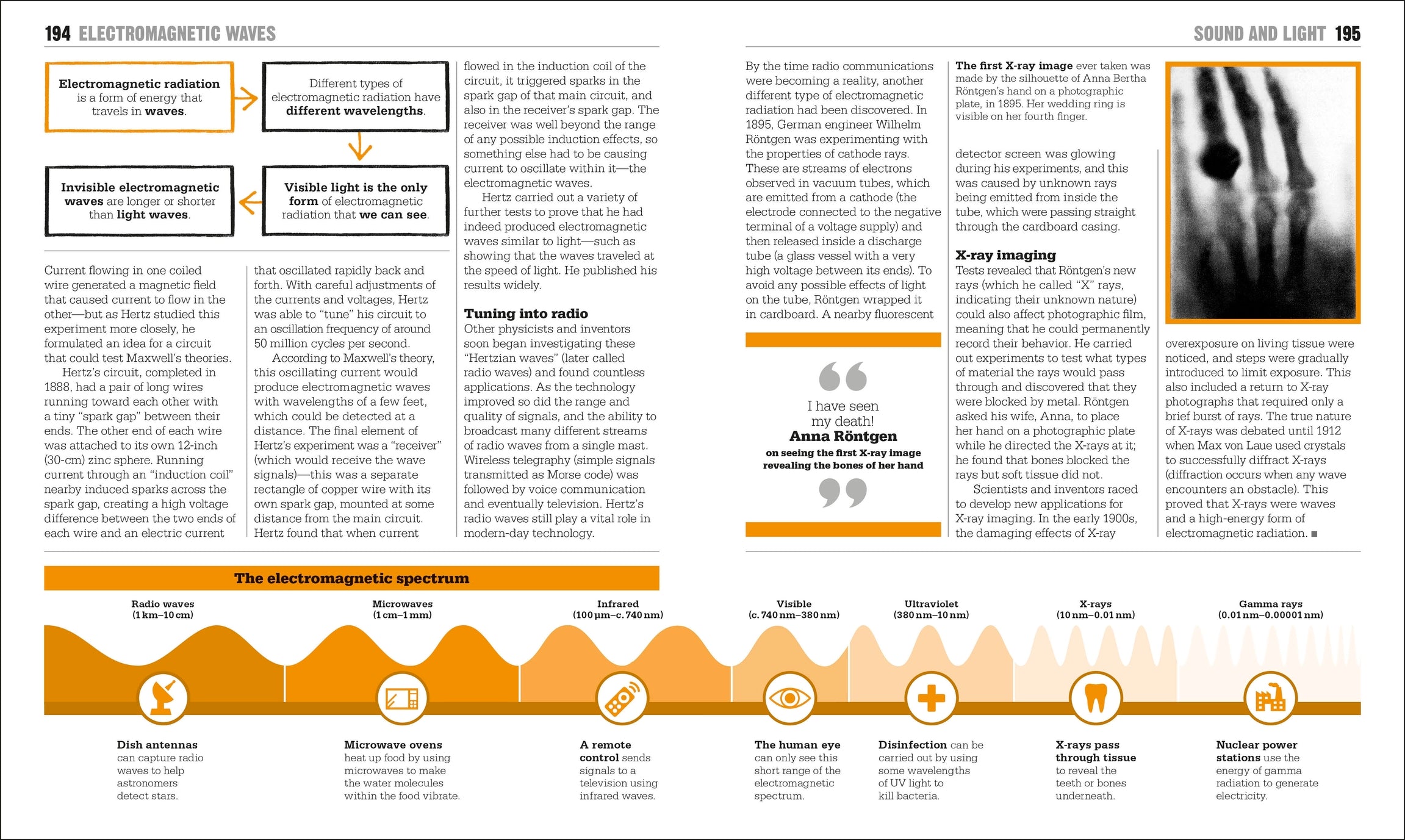 The Physics Book-image