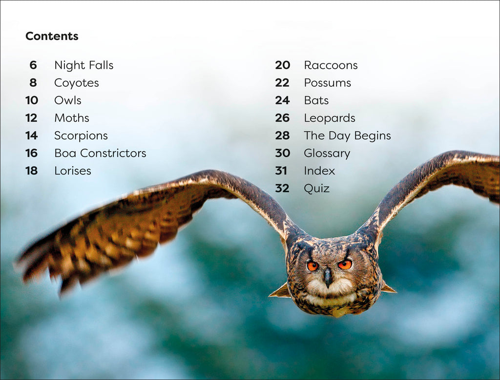 DK Super Readers Level 1 Night-time Animals