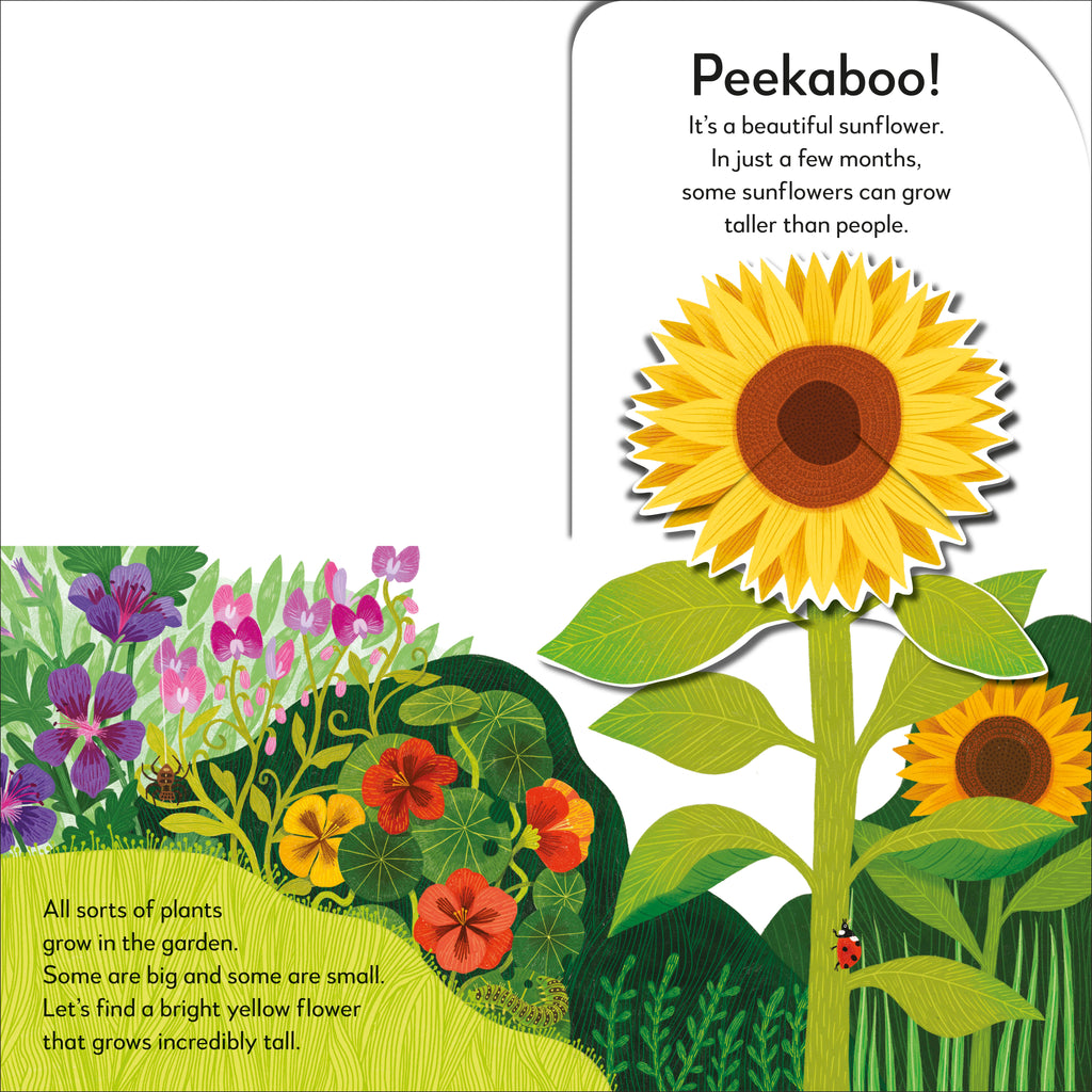 Pop-Up Peekaboo! Garden