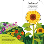 Pop-Up Peekaboo! Garden