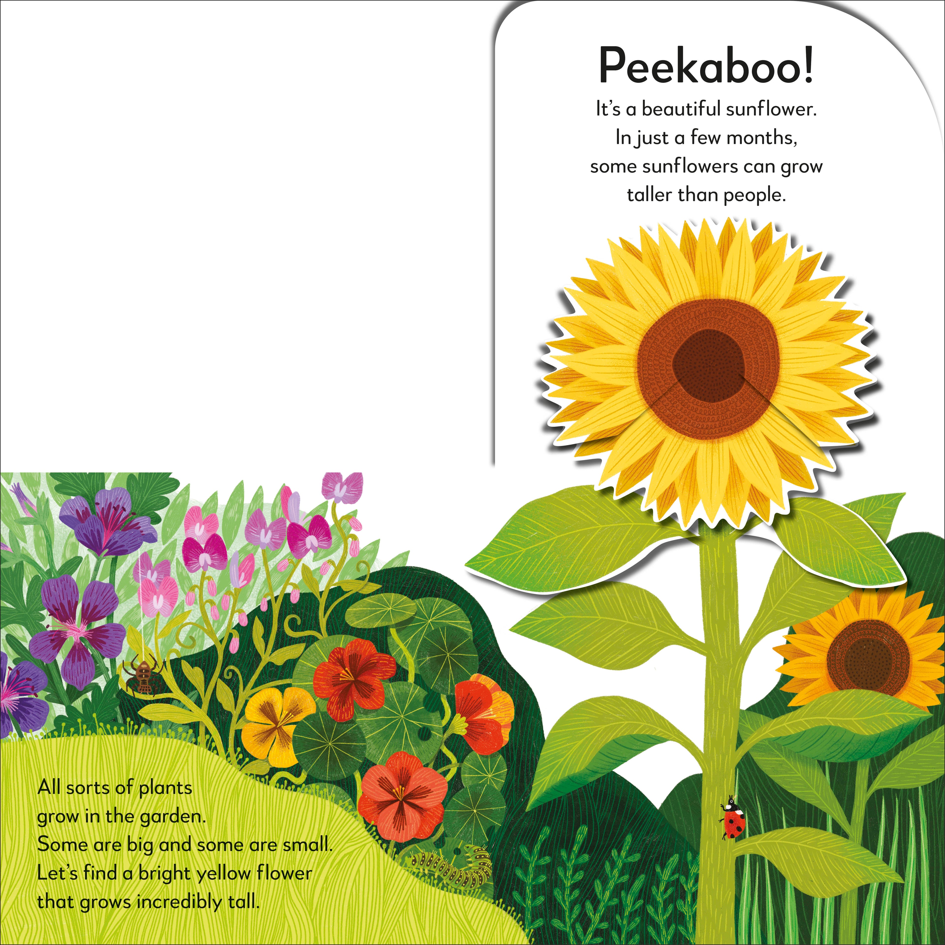 Pop-Up Peekaboo! Garden