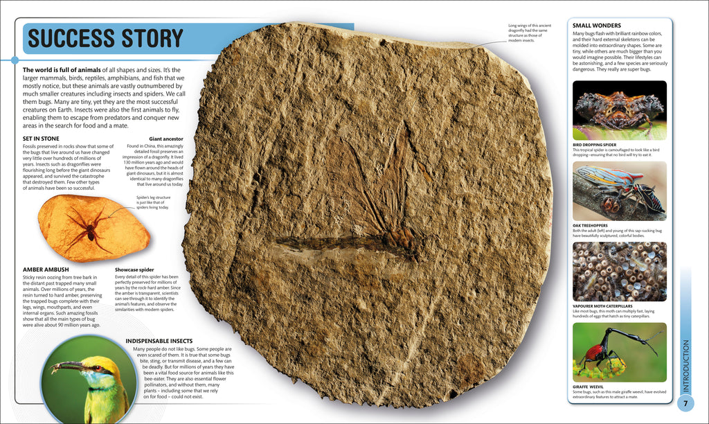 Super Bug Encyclopedia