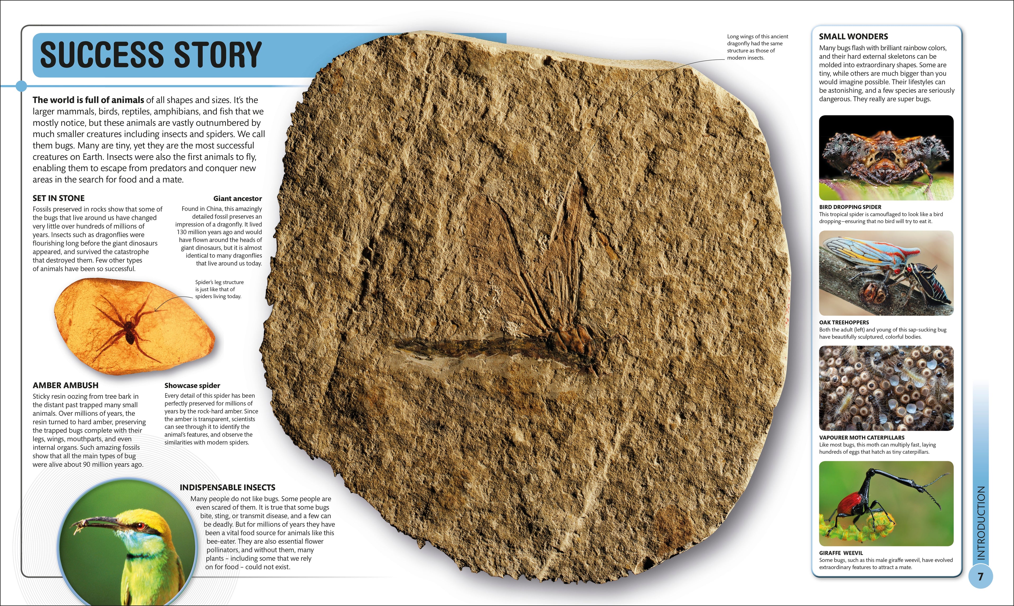 Super Bug Encyclopedia