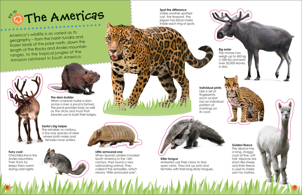 Ultimate Sticker Book Animals