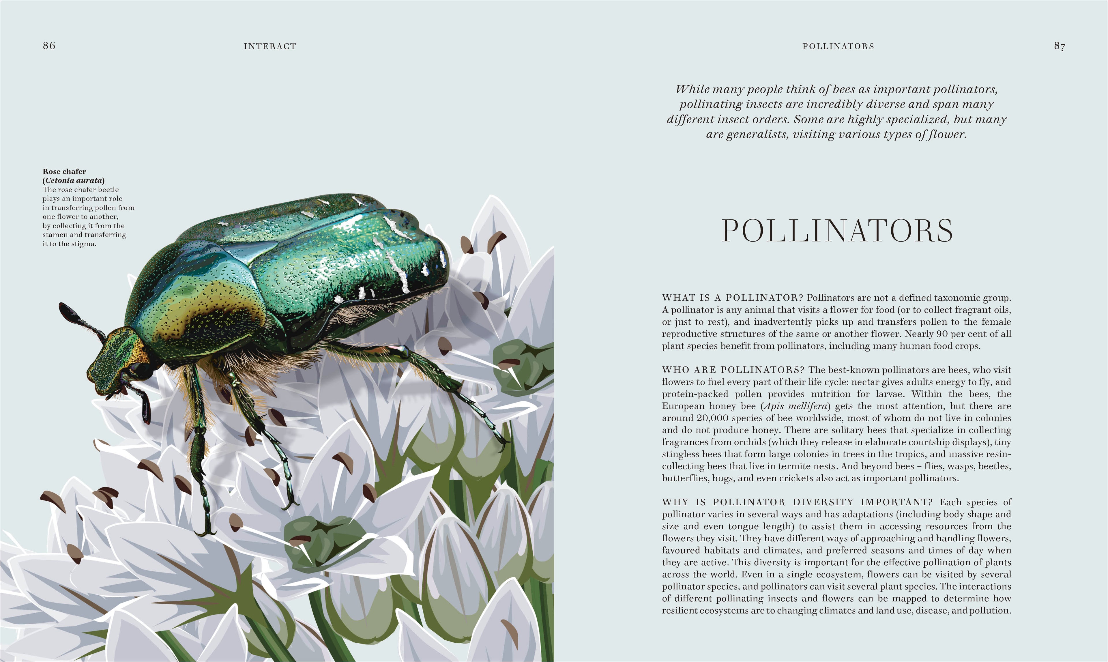 RES Insects-Spread, Image, (PRHC, Design, Do, Not, Use)-5