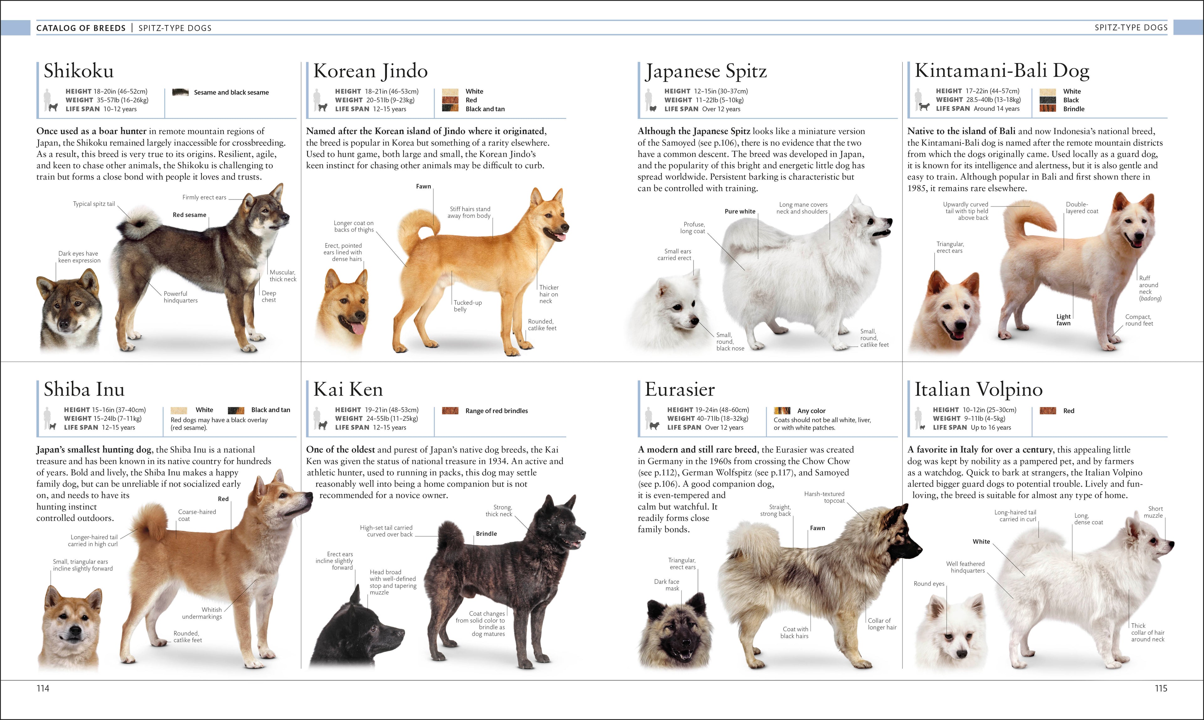 The Dog Encyclopedia-image