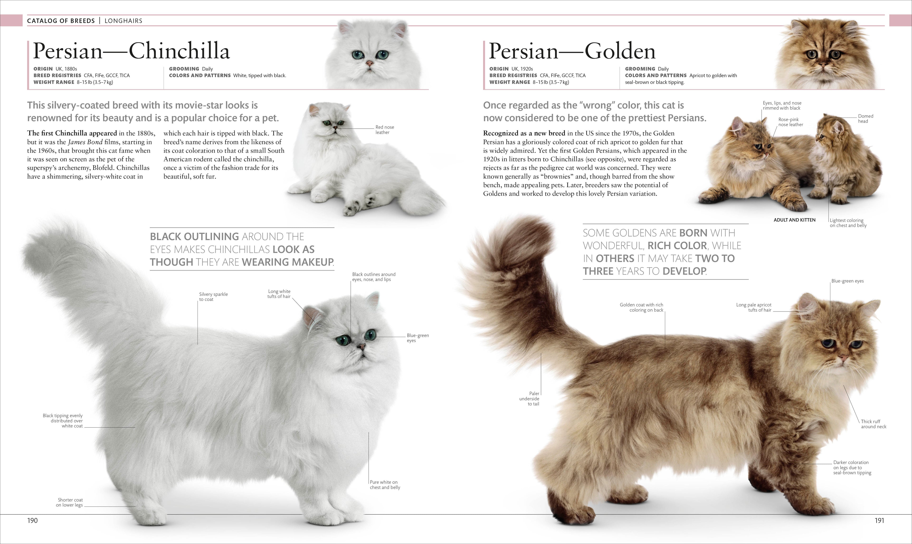 The Cat Encyclopedia-Spread, Image, (PRHC, Design, Do, Not, Use)-7