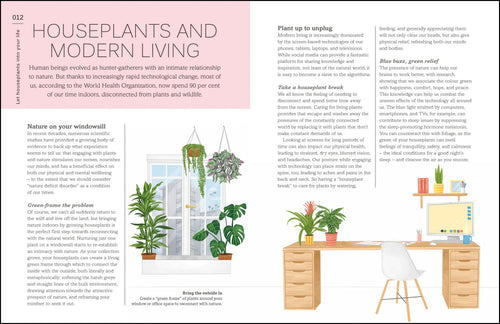 my first book of house plants My House Plant Changed My Life – DK