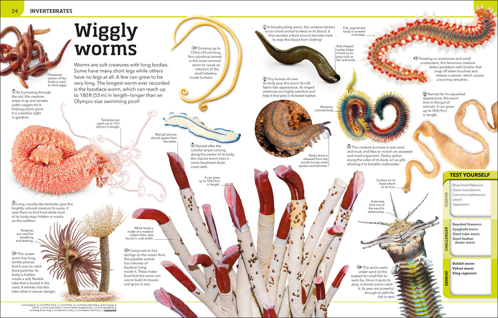 Animal Knowledge Genius!