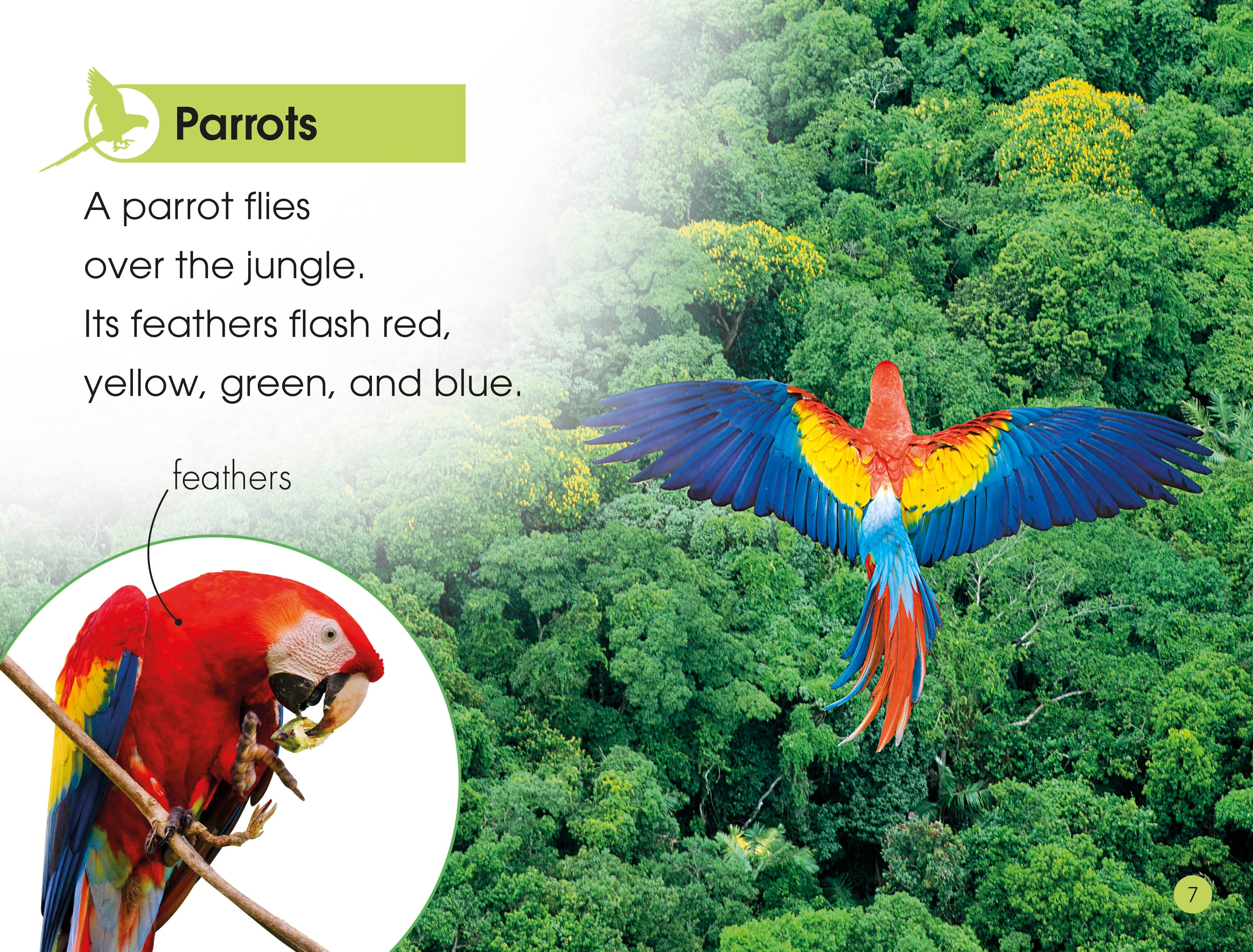 DK Readers L1: Jungle Animals