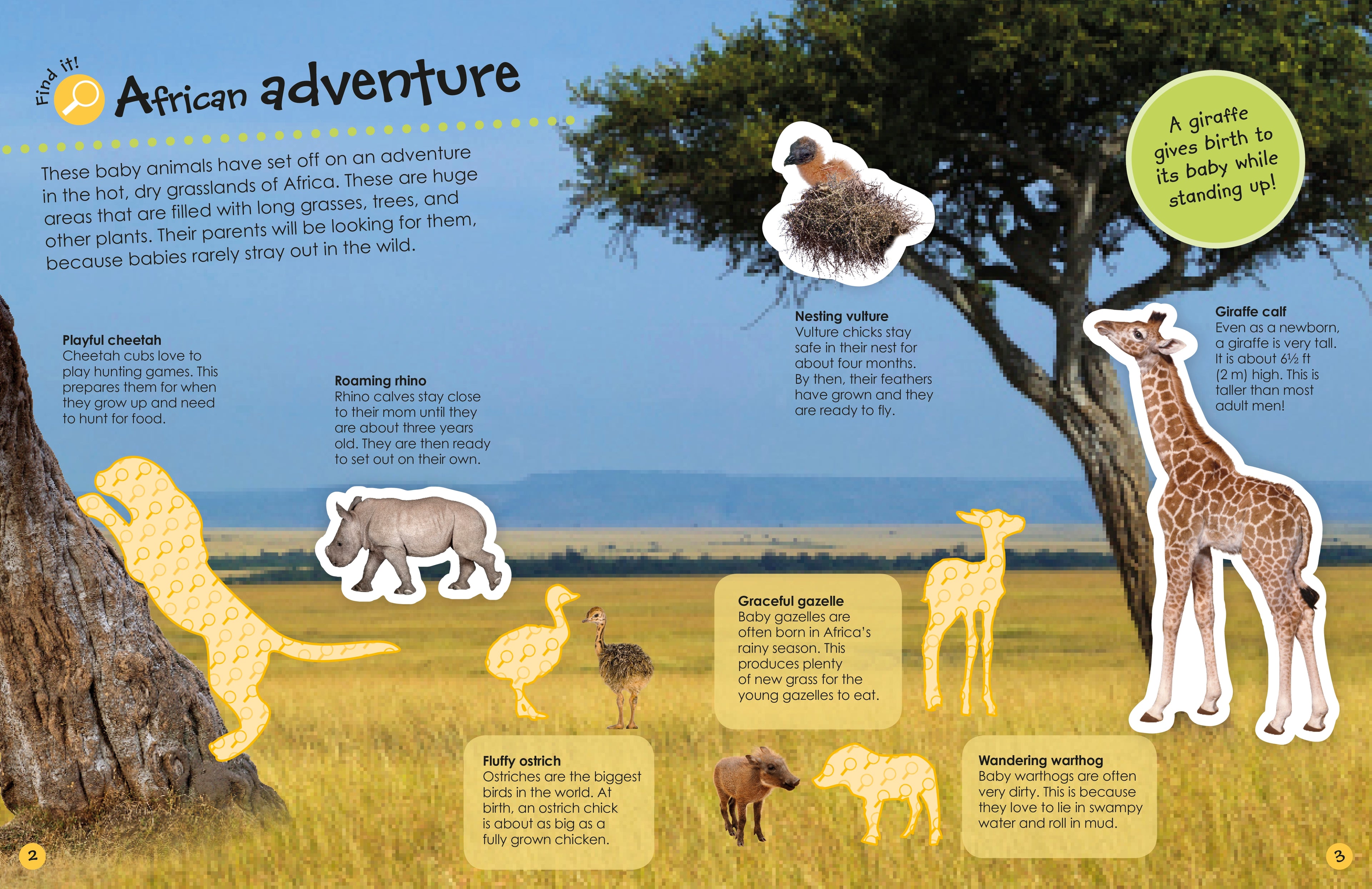 Ultimate Sticker Book: Baby Animals