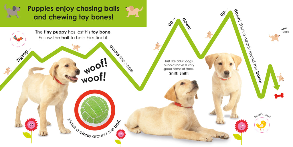 Follow the Trail: Baby Animals