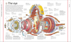 Stephen Biesty's Incredible Body Cross-Sections