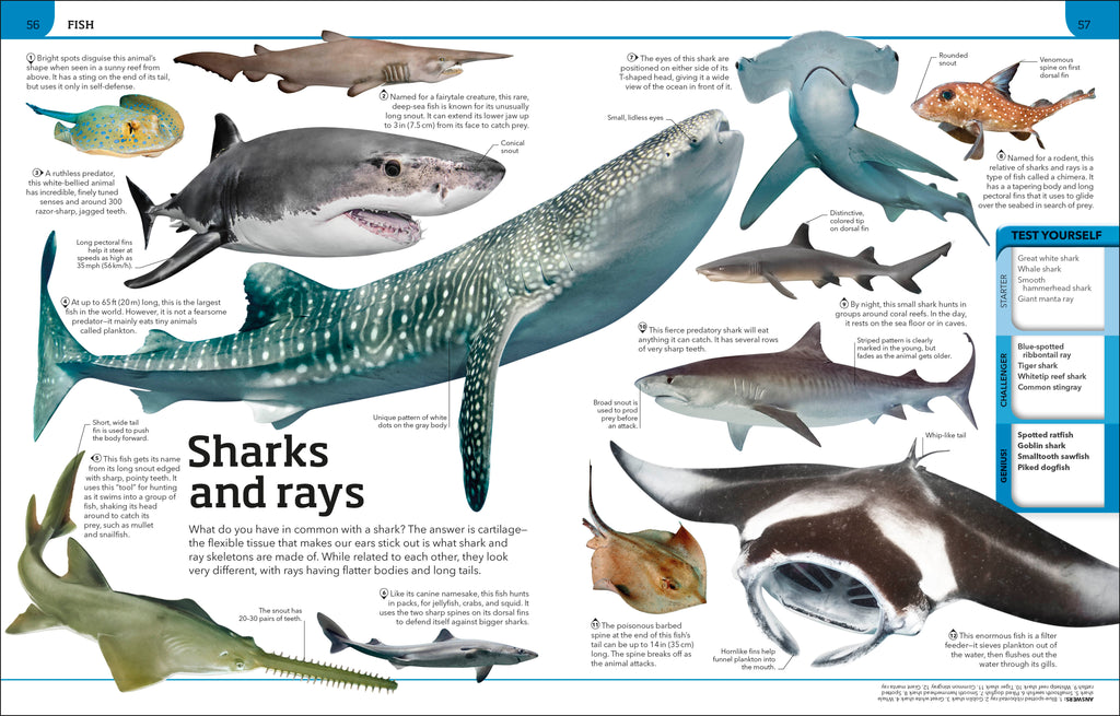 Animal Knowledge Genius!