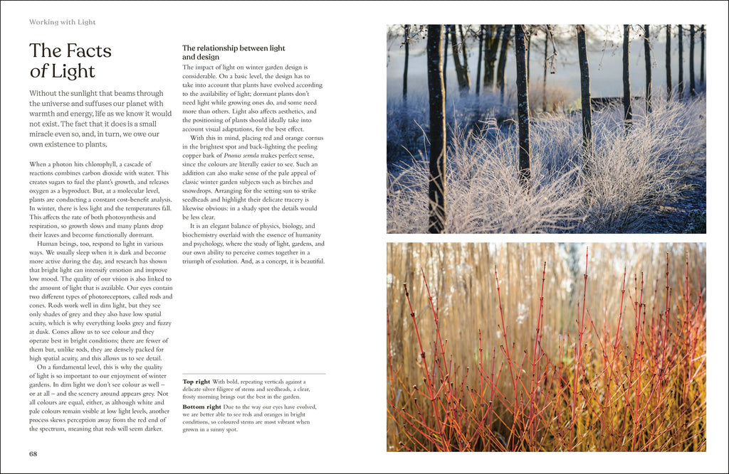 RHS The Winter Garden