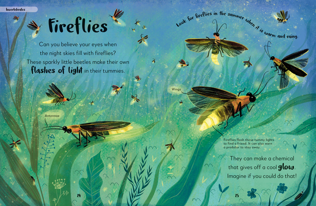 The Bedtime Book of Nighttime Animals