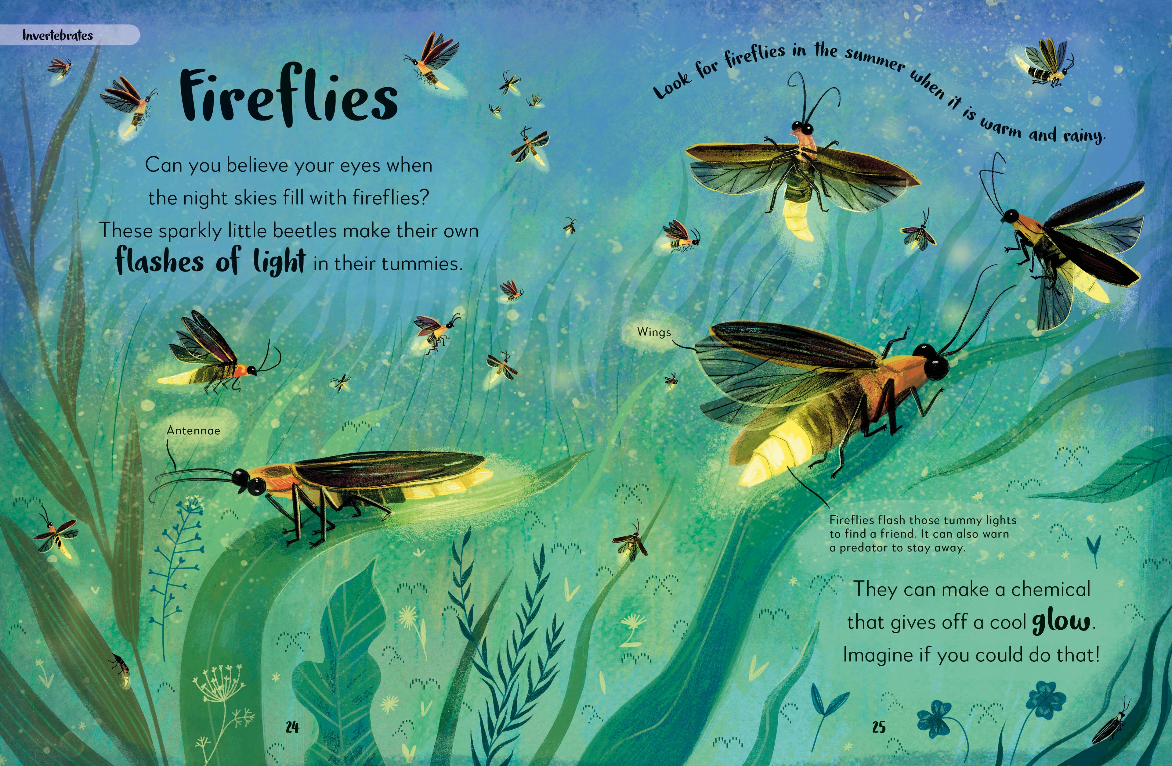 The Bedtime Book of Nighttime Animals