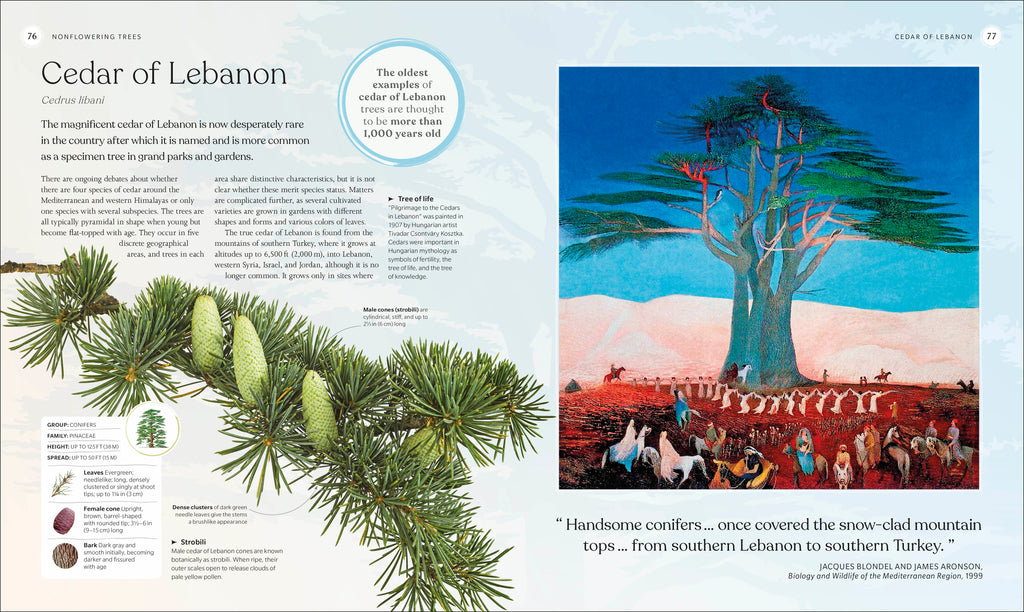 The Tree Book-Spread, Image, (PRHC, Design, Do, Not, Use)-4