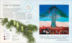 The Tree Book-Spread, Image, (PRHC, Design, Do, Not, Use)-4