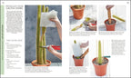 RHS Practical Cactus and Succulent Book