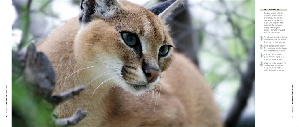 How to Photograph Absolutely Everything