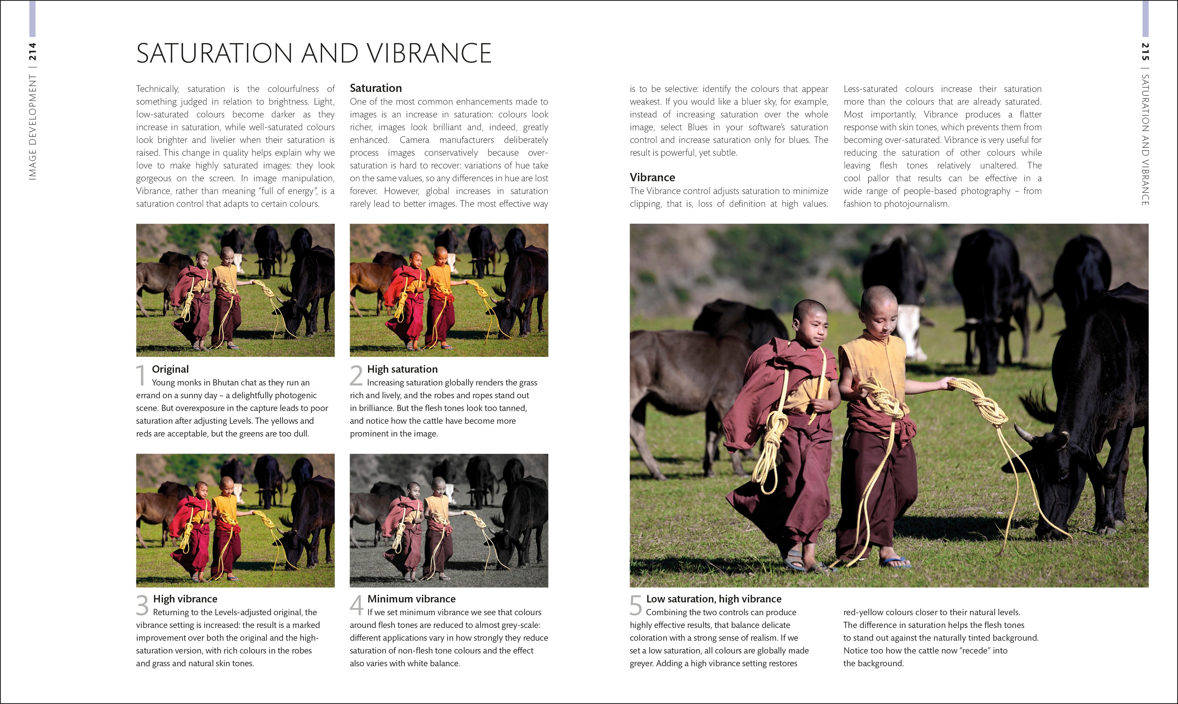 Digital Photographer's Handbook