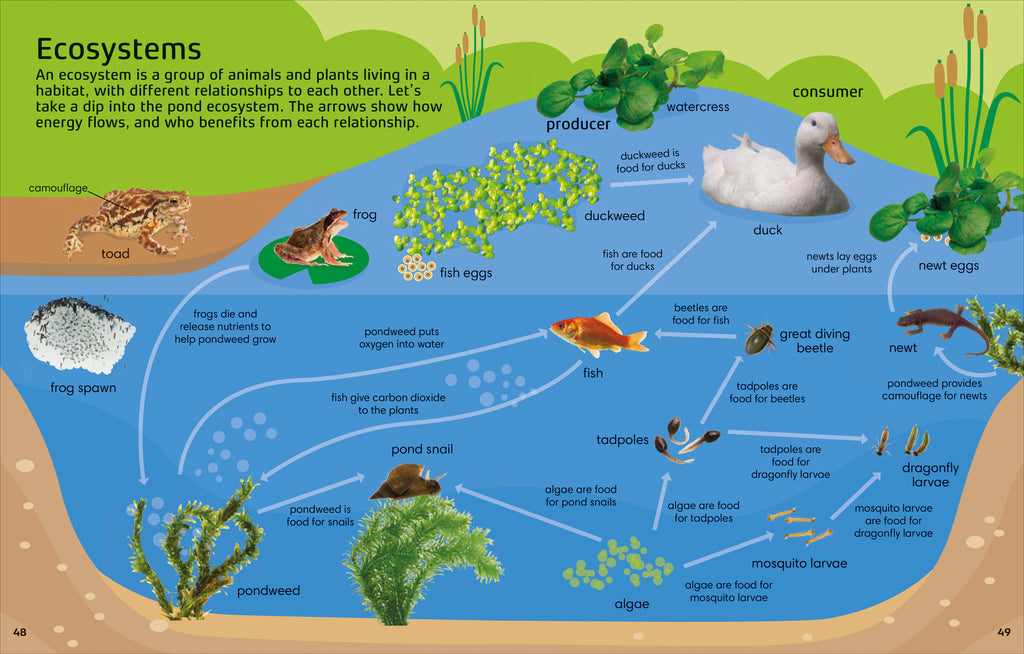 Preschool Collection-Spread, Image, (PRHC, Design, Do, Not, Use)-6