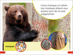 DK Super Readers Pre-level French Translation A Bear's Tale – Une Histoire d’ours