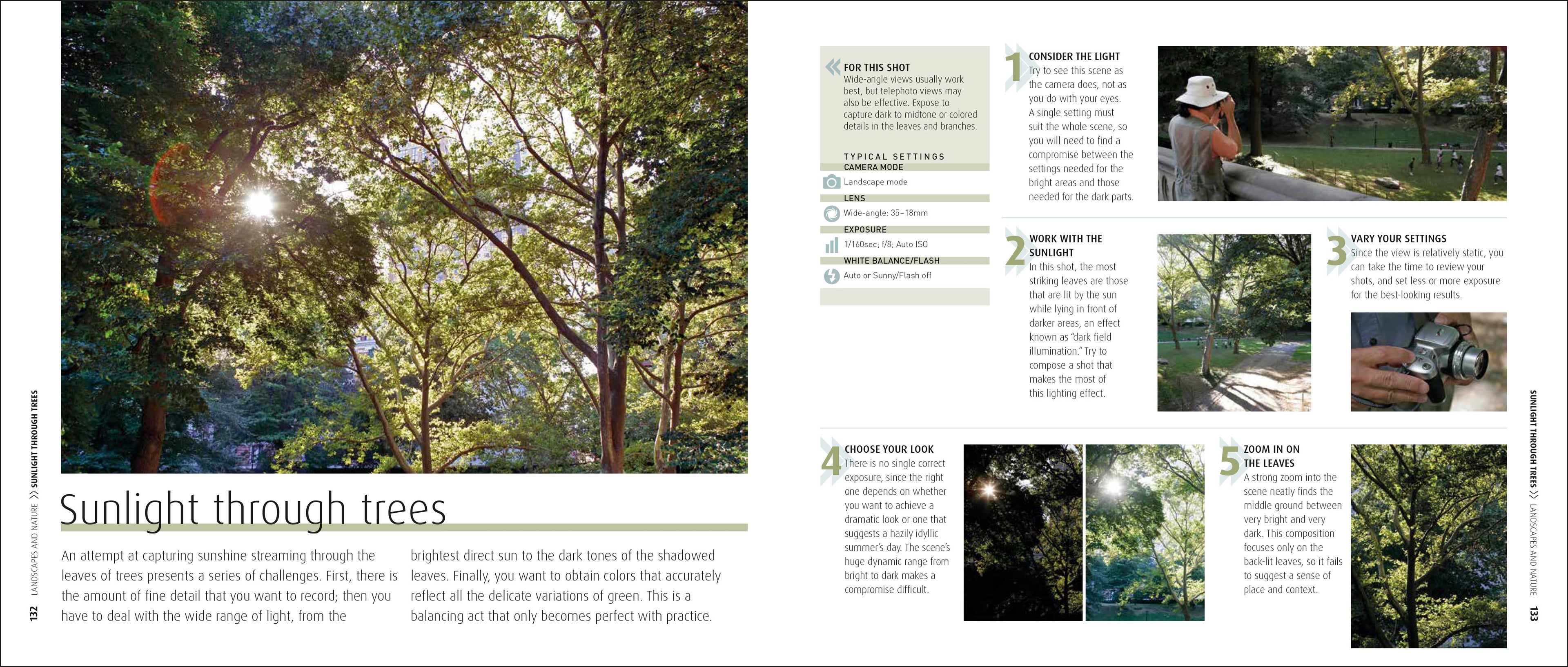 How to Photograph Absolutely Everything