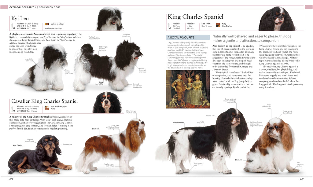 The Dog Encyclopedia