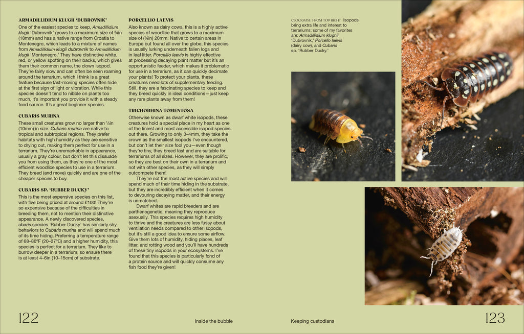 Hello Tiny World-Spread, Image, (PRHC, Design, Do, Not, Use)-6