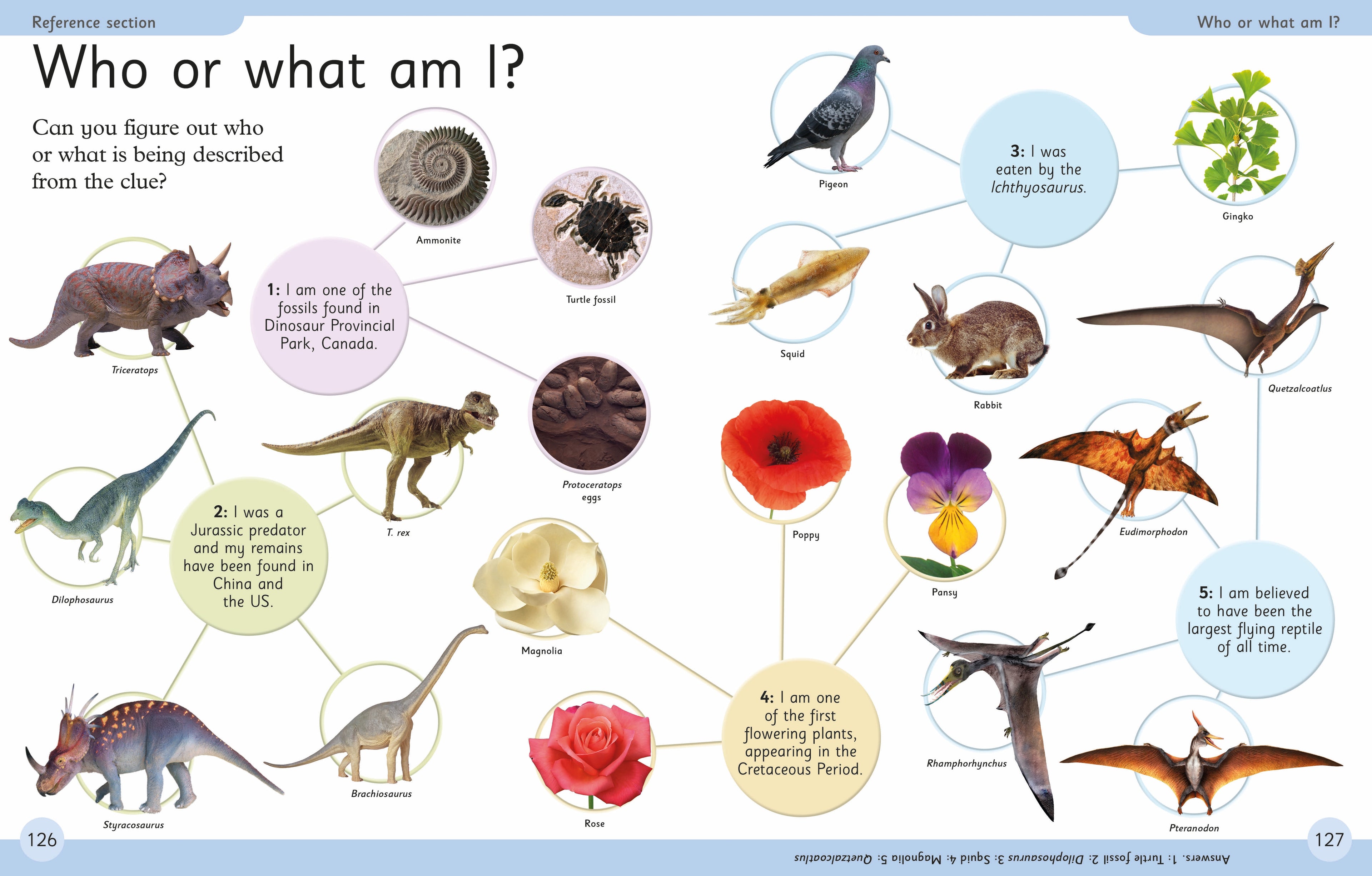 First Dinosaur Encyclopedia