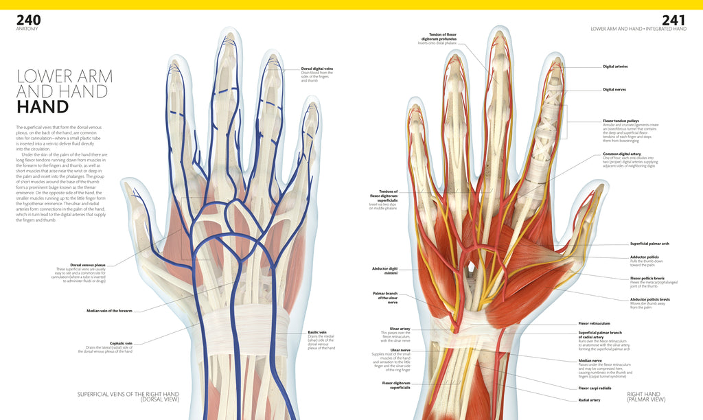 The Complete Human Body