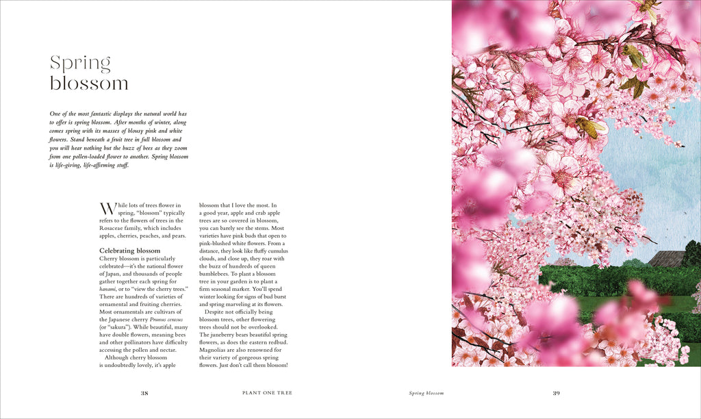 The Tree in My Garden-Spread, Image, (PRHC, Design, Do, Not, Use)-8