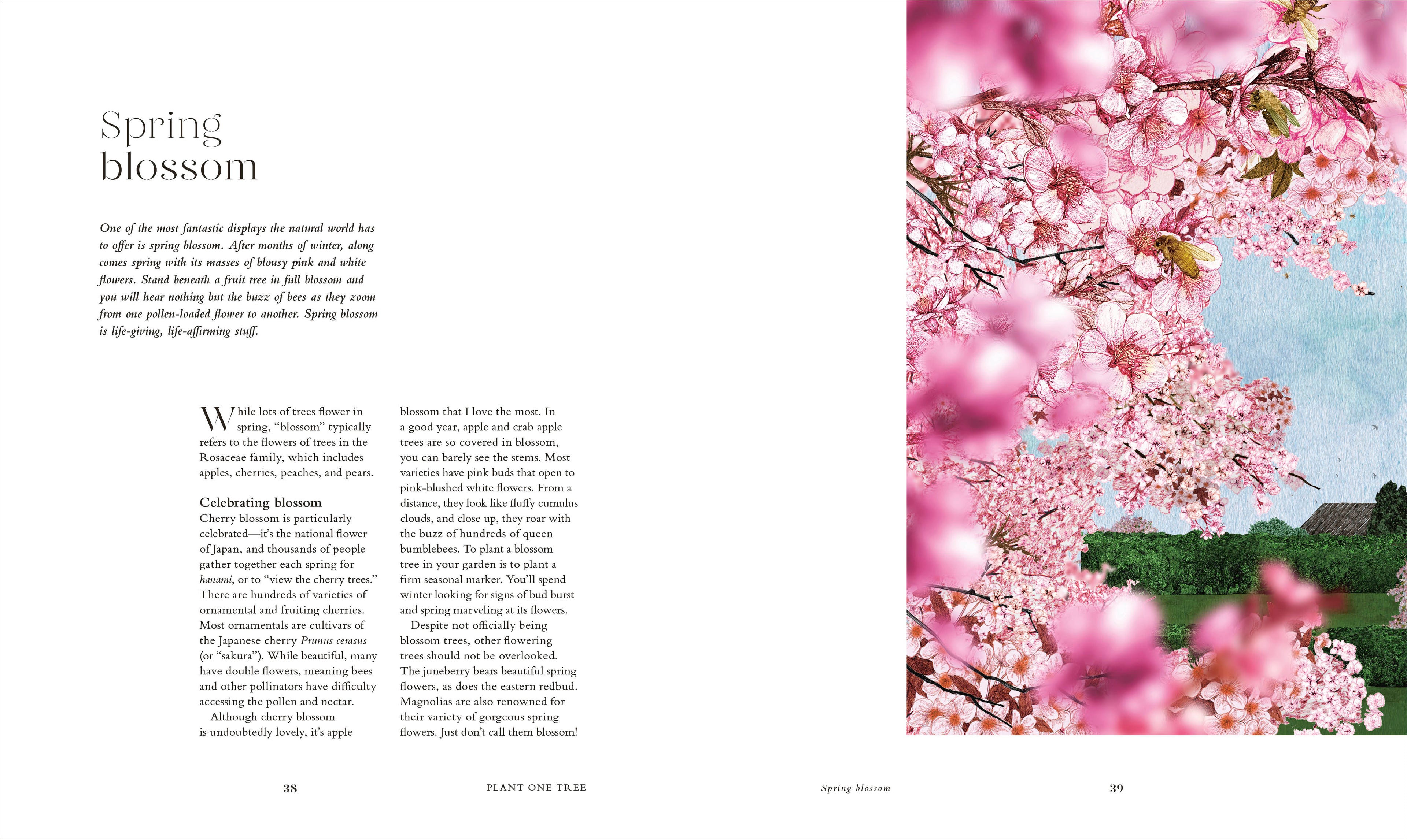 The Tree in My Garden-Spread, Image, (PRHC, Design, Do, Not, Use)-8