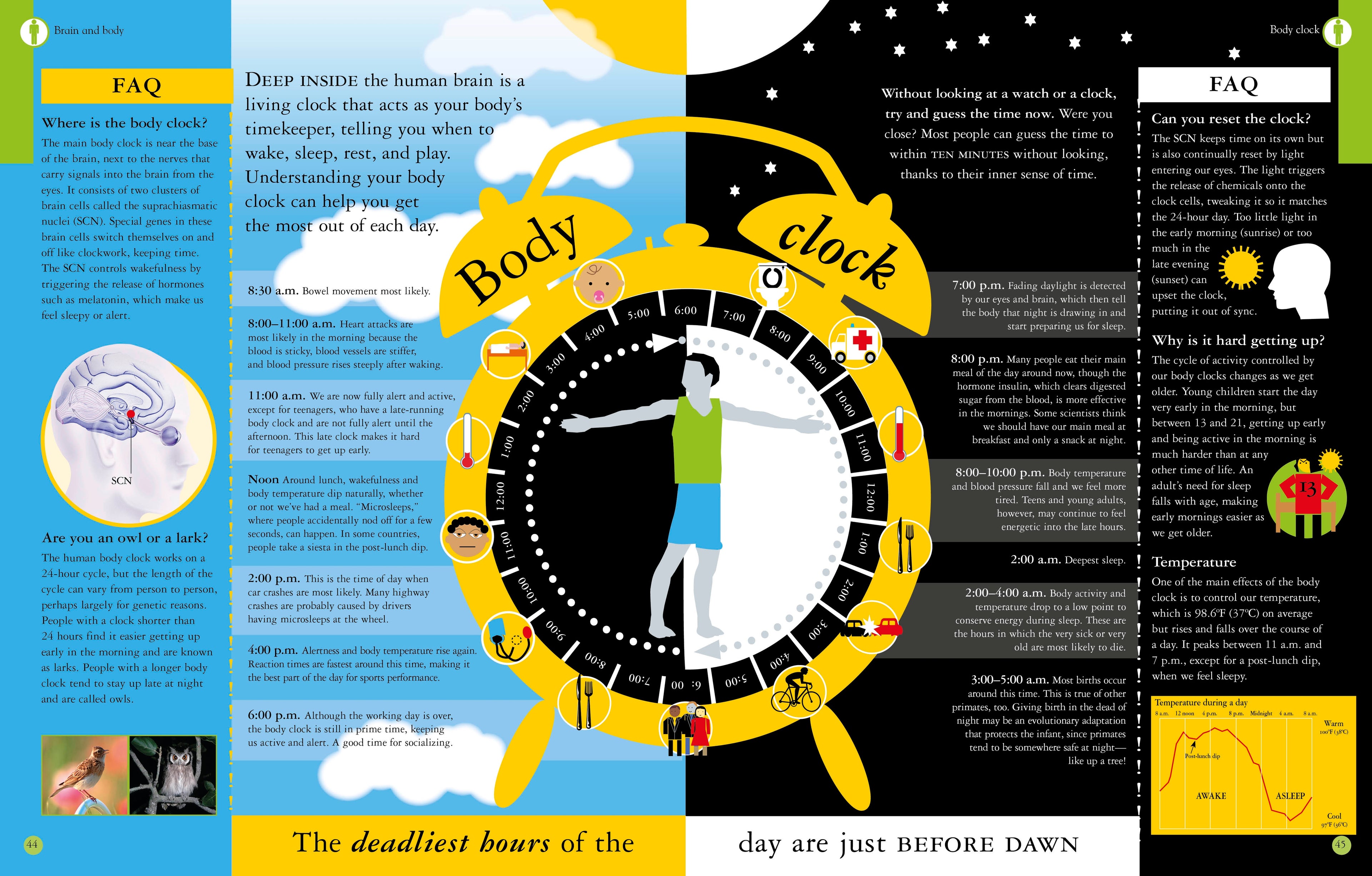 What Goes On in My Head?