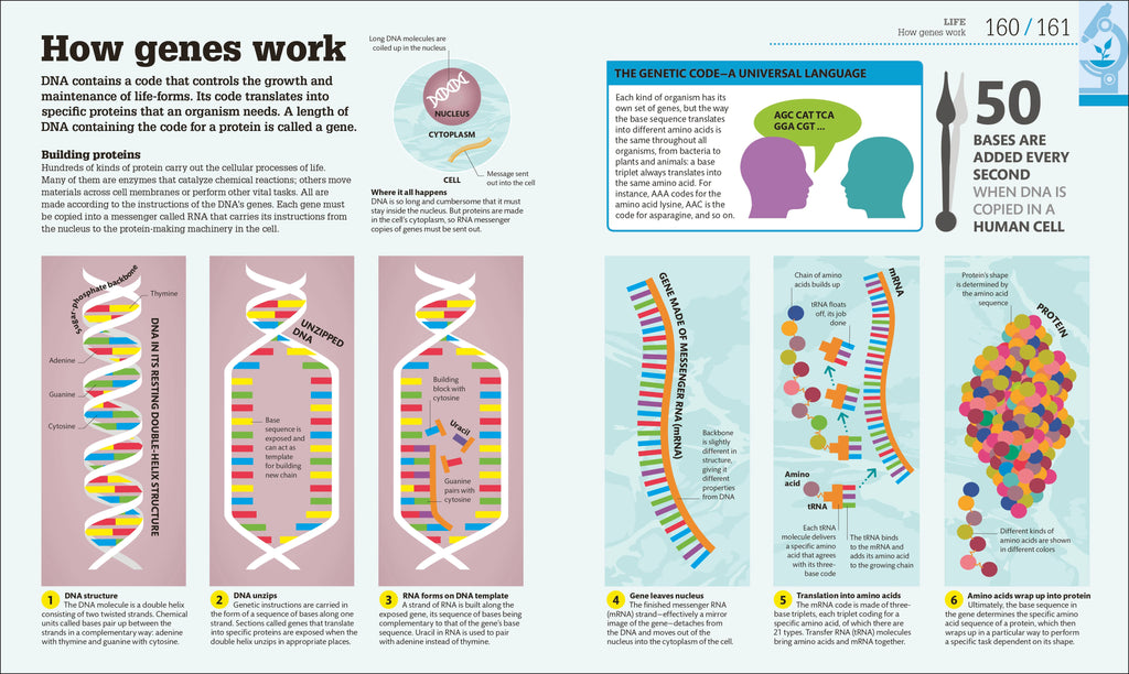 How Science Works-Spread, Image, (PRHC, Design, Do, Not, Use)-2