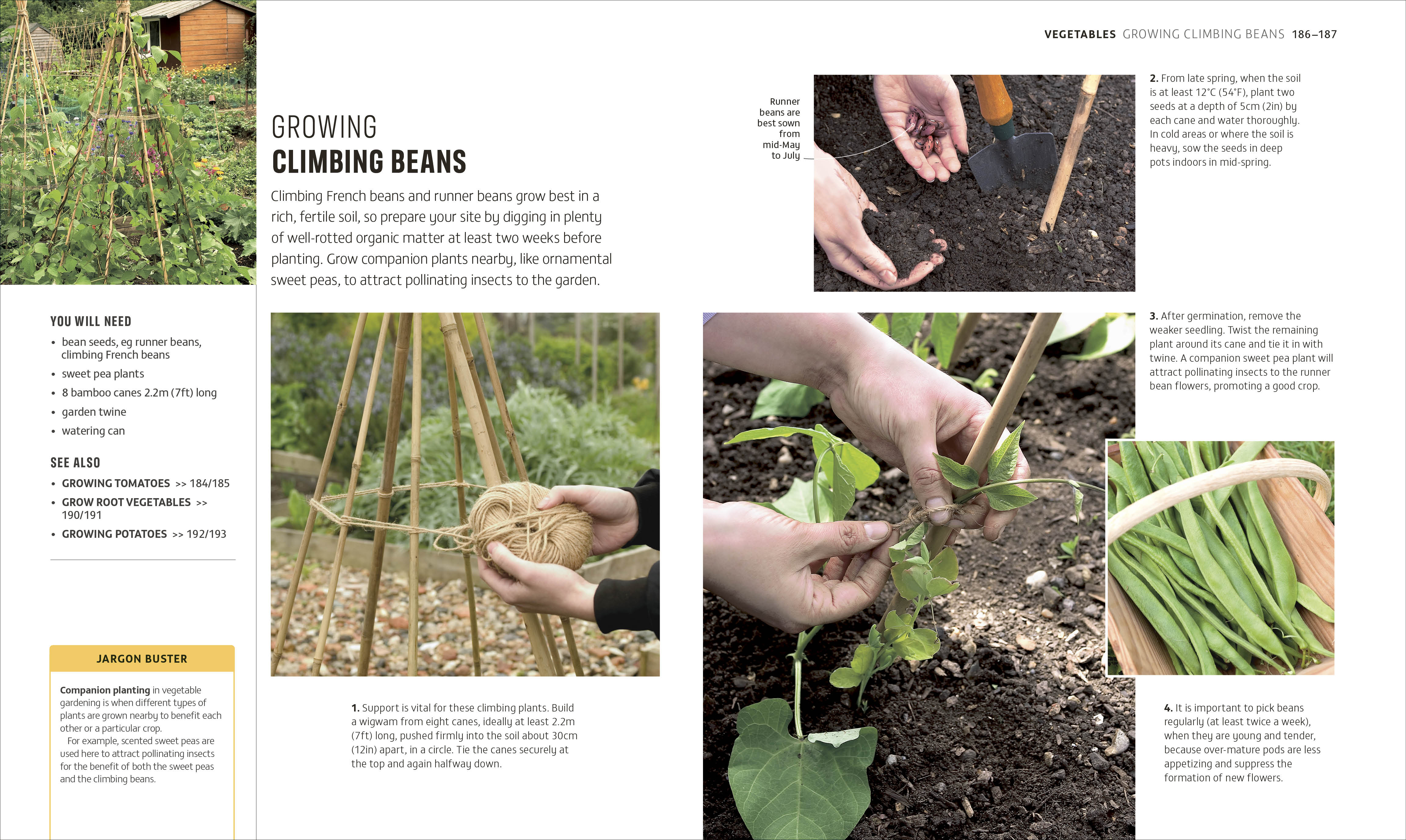 RHS How to Garden When You're New to Gardening – DK
