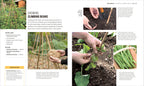 RHS How to Garden When You're New to Gardening-Spread, Image, (PRHC, Design, Do, Not, Use)-6