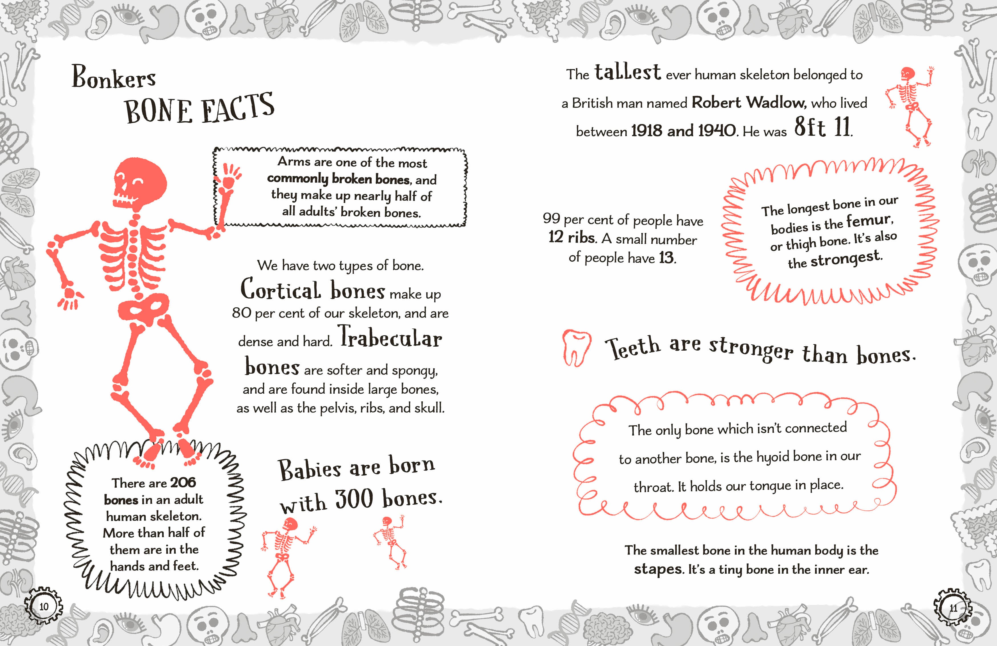 Radzi's Incredible Facts-Spread, Image, (PRHC, Design, Do, Not, Use)-1