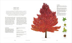 The Tree in My Garden-Spread, Image, (PRHC, Design, Do, Not, Use)-11