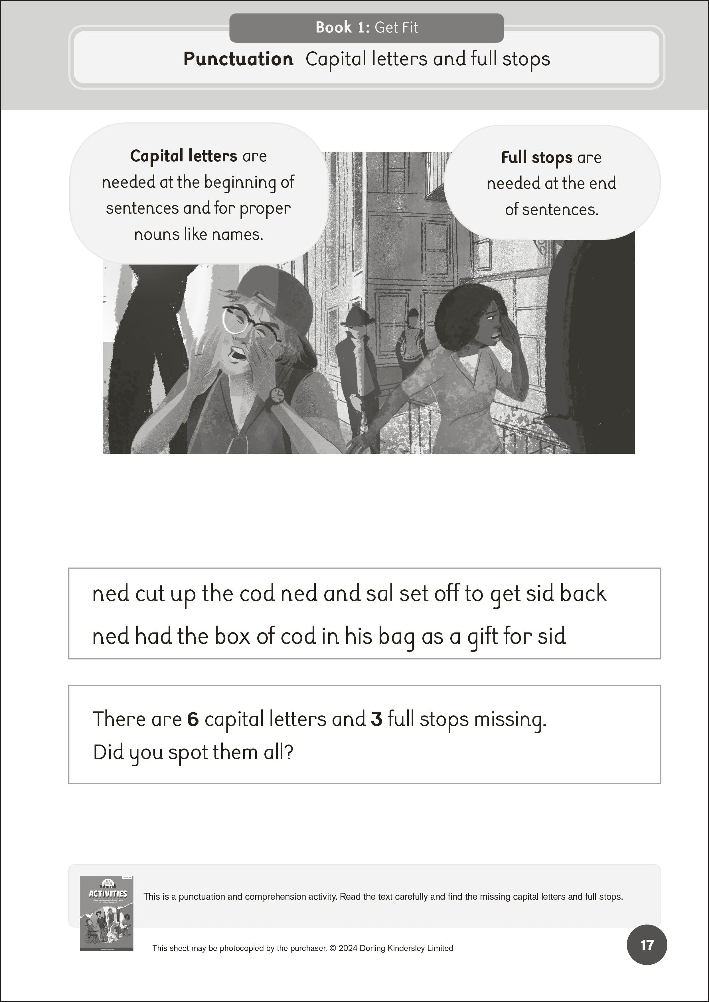 Phonic Books Pet Sitters Activities