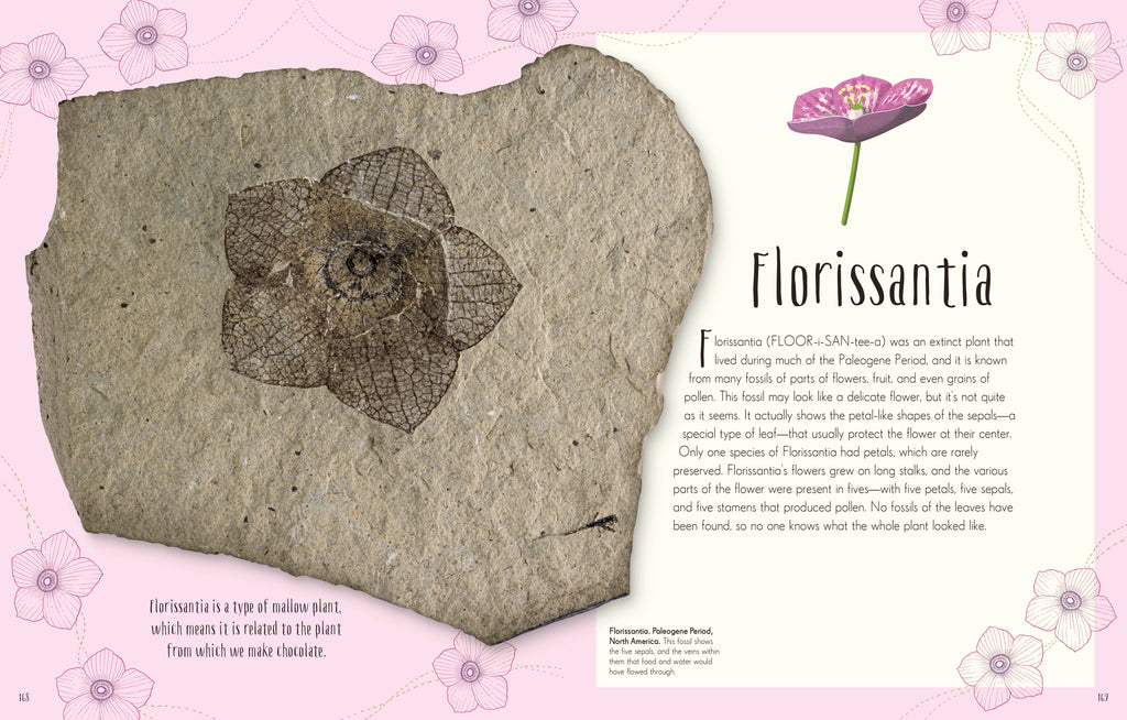 Children's Anthologies Collection-image