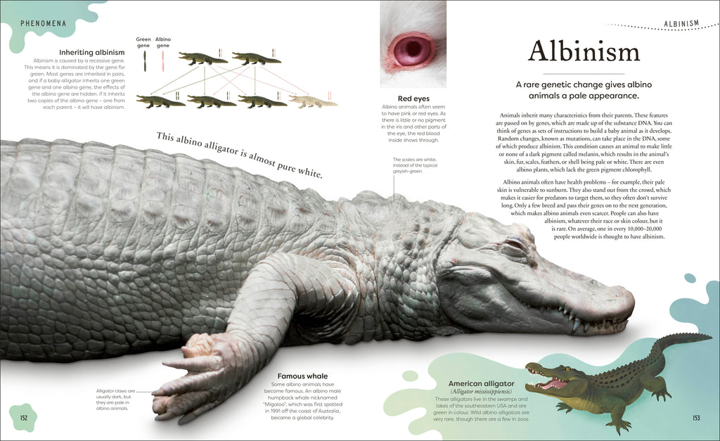 Weird and Wonderful Nature