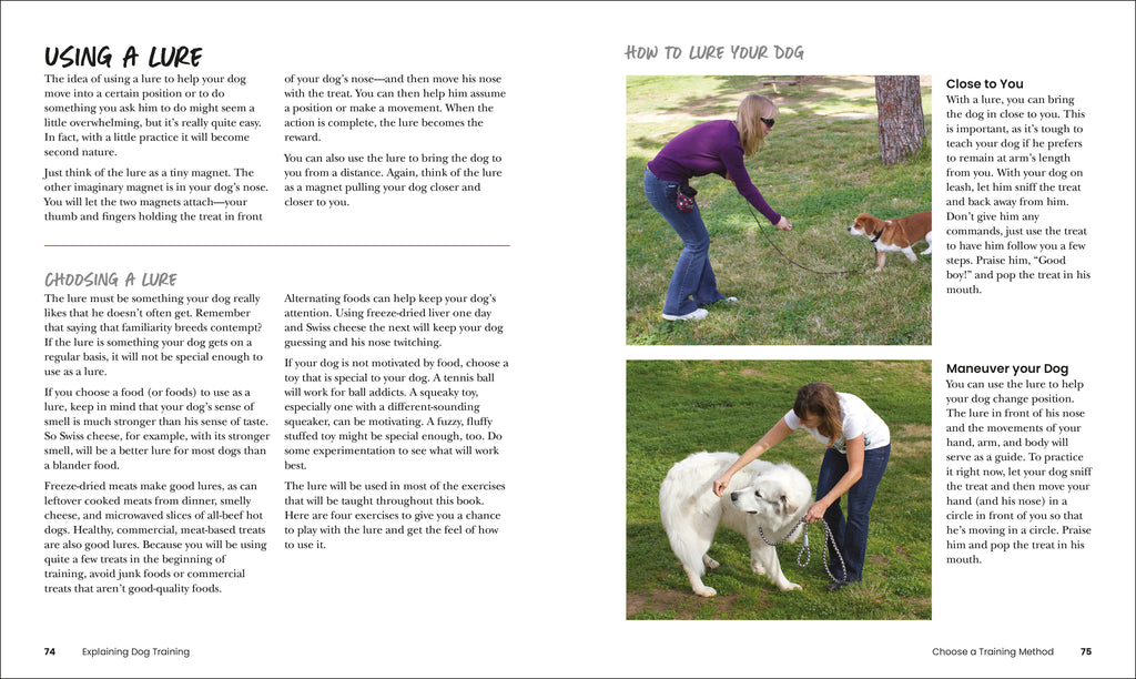 How to Train Your Dog-Spread, Image, (PRHC, Design, Do, Not, Use)-3