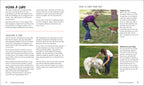 How to Train Your Dog-Spread, Image, (PRHC, Design, Do, Not, Use)-3