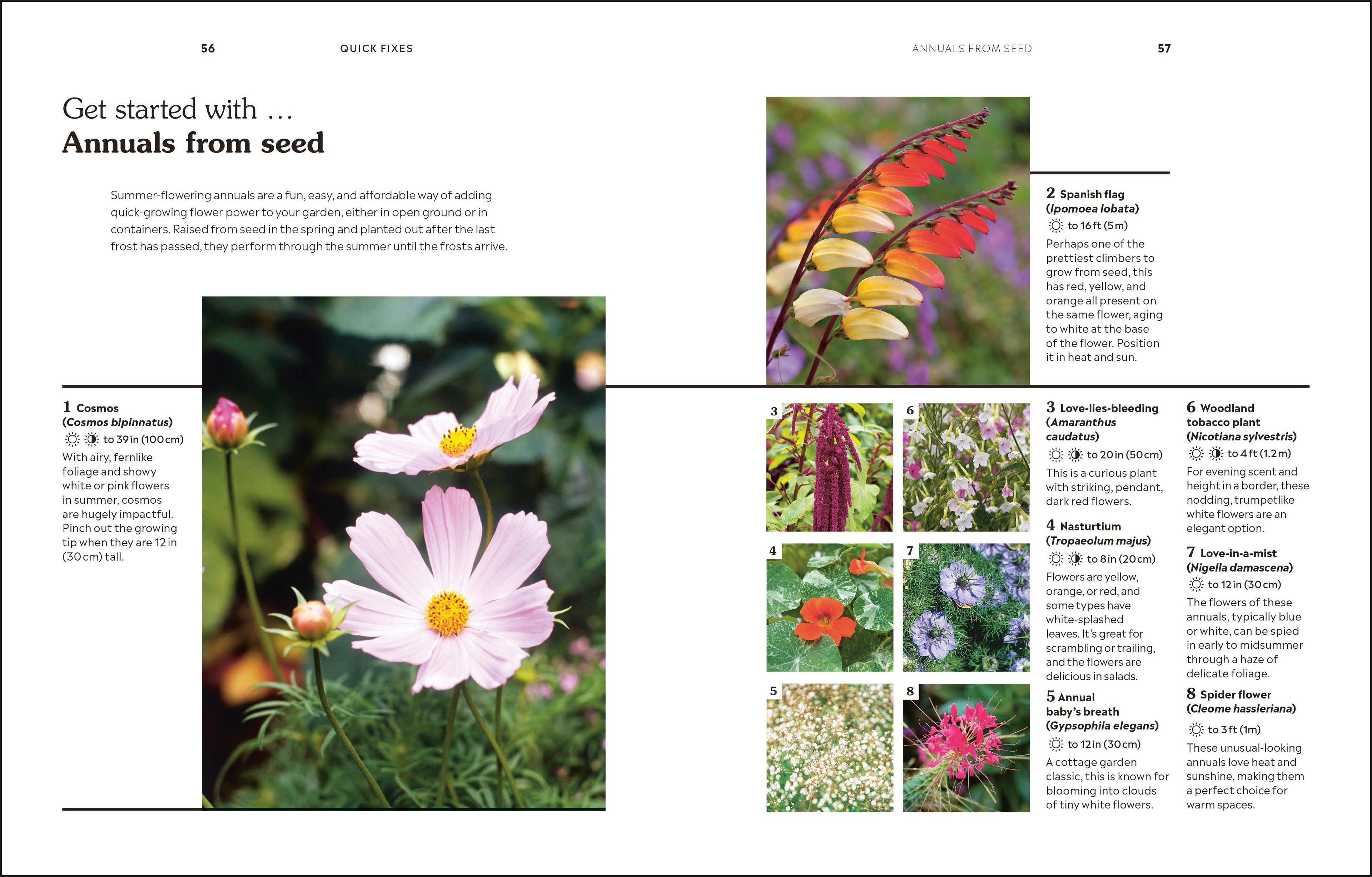 How to Garden When You Rent