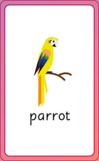 English for Everyone Junior First Words Animals Flash Cards-image