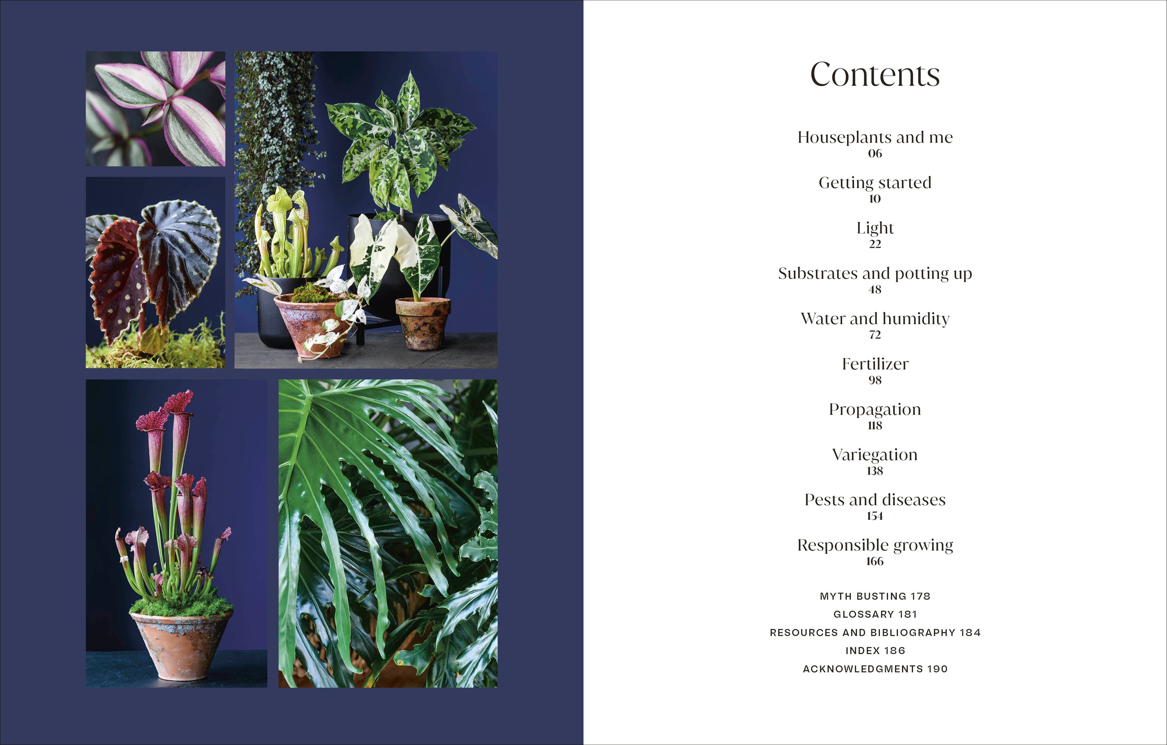 Not Another Jungle-Spread, Image, (PRHC, Design, Do, Not, Use)-1