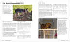 How to Train Your Dog-Spread, Image, (PRHC, Design, Do, Not, Use)-4
